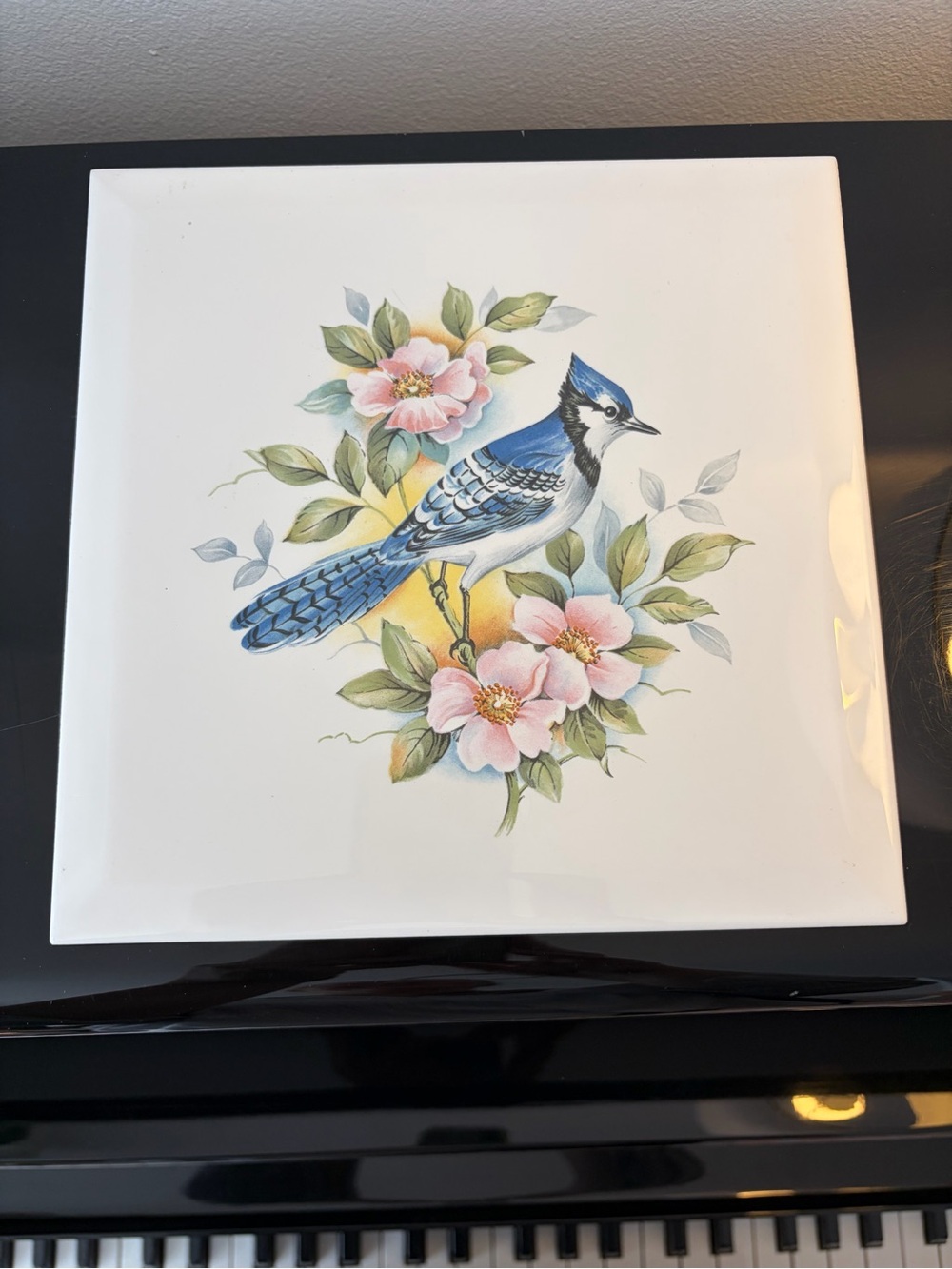 Vintage Made in Italy Cerdisa Ceramic Tile/Trivet Blue Jay Bird
